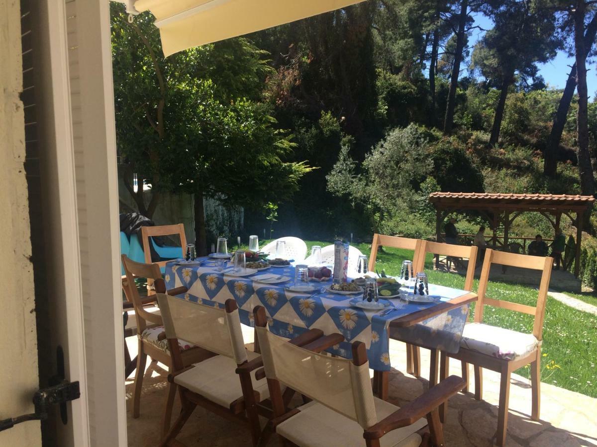 Villa Elani Kassandra Dış mekan fotoğraf