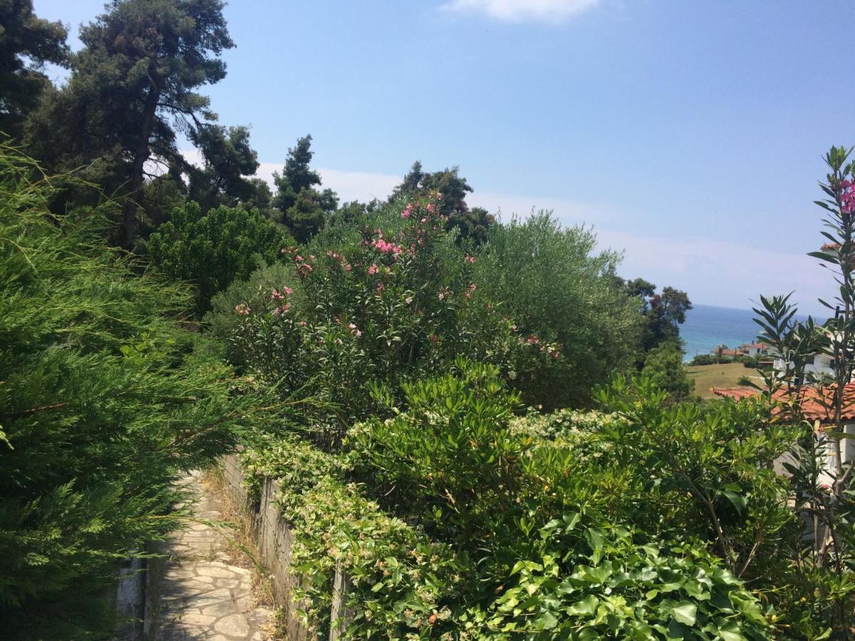 Villa Elani Kassandra Dış mekan fotoğraf